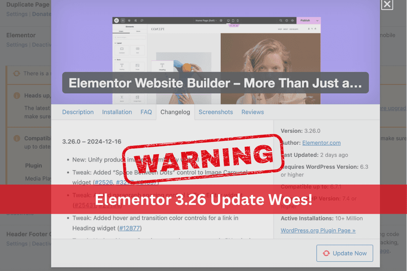 Elementor’s “Element Caching” Broke Woocommerce Dynamic Pages